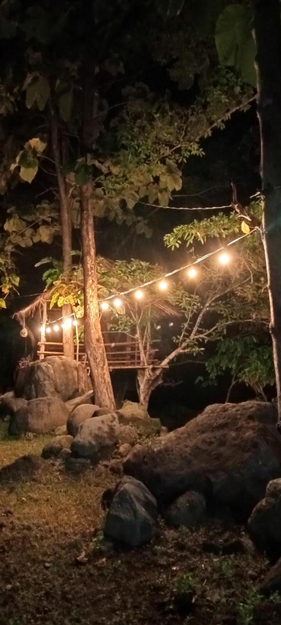 Alas Tiu Batu Homestay מראה חיצוני תמונה